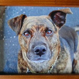 Fundraising Page: Vicki Strong